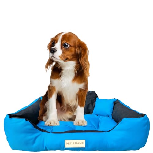 beeco STORE Hundebett kleine Hunde - Hundebett Wasserdicht – Blau S - Waschbares Hundebett für kleine Hunde - Hundebett Abwaschbar - Hundebett zum waschen - Hundebett Waschbar – Hundekissen von beeco STORE