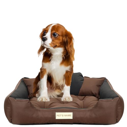 beeco STORE Hundebett kleine Hunde - Hundebett Wasserdicht – Braun S - Waschbares Hundebett für kleine Hunde - Hundebett Abwaschbar - Hundebett zum waschen - Hundebett Waschbar – Hundekissen von beeco STORE