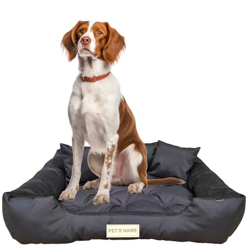 beeco STORE Hundebett mittelgroße Hunde - Hundebett Wasserdicht – Schawrz M - Waschbares Hundebett für mittelgroße Hunde - Hundebett Abwaschbar - Hundebett zum waschen - Hundebett Waschbar von beeco STORE