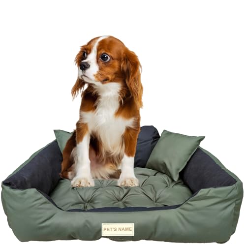 beeco STORE Hundebett kleine Hunde - Hundebett Wasserdicht - Grün S - Waschbares Hundebett für kleine Hunde - Hundebett Abwaschbar - Hundebett zum waschen - Hundebett Waschbar – Hundekissen von beeco STORE