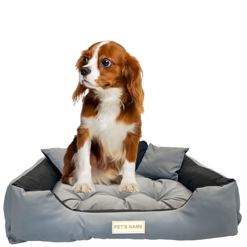 beeco STORE Hundebett kleine Hunde - Hundebett Wasserdicht – Grau S - Waschbares Hundebett für kleine Hunde - Hundebett Abwaschbar - Hundebett kleine Hunde - Hundebett Waschbar – Hundekissen von beeco STORE