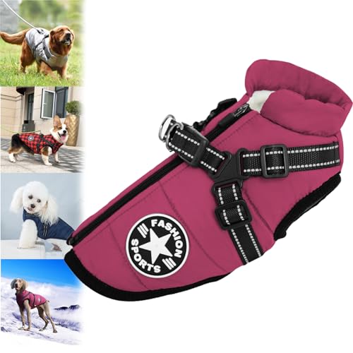 behound Pawbibi Sport - Waterproof Winter Jacket with Built-In Harness,Pawbibi Dog Jacket Coat with Harness,Dog Winter Jacket with Zipper,Dog Jackets for Small Medium Dogs (4XL,Purple) von behound