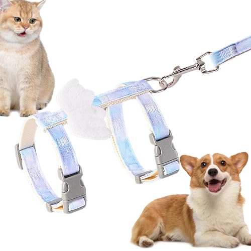 Easy Control Hundegeschirr, bequemes und flexibles Hundegeschirr mit Engelsflügeln – Outdoor-Hundebedarf für Reisen, Spaziergänge, Camping, Ausflüge, Festivalumzüge Bellv Easy Control Hundegeschirr, bequemes und flexibles Hundegeschirr mit Engelsflügeln – Outdoor-Hundebedarf für Reisen, Spaziergänge, Camping, Ausflüge, Festivalumzüge Bellv von bellv