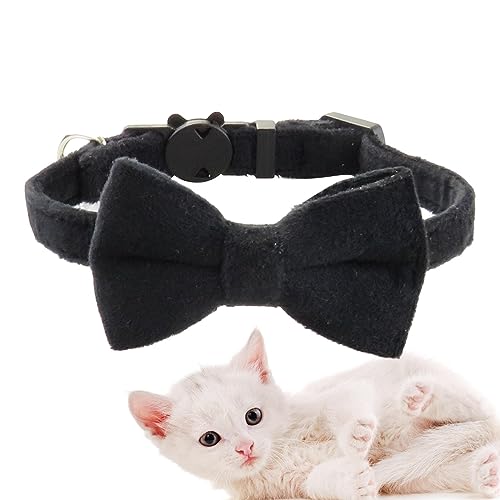 Fliege für Hunde, Halsband mit Klingelglocke, Kopfbedeckung für den Innenbereich, für Hochzeit, Zuhause, Spazierengehen, Reisen, Fotografie Bellv Fliege für Hunde, Halsband mit Klingelglocke, Kopfbedeckung für den Innenbereich, für Hochzeit, Zuhause, Spazierengehen, Reisen, Fotografie Bellv von bellv