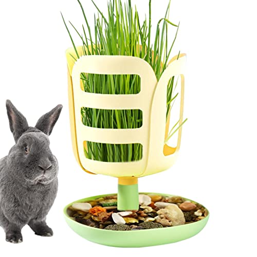 Heuhalter für Kaninchen, Meerschweinchen, stehend, Haustier-Futterständer für Kaninchen, Chinchilla, Meerschweinchen und andere Kleintiere Bellv Heuhalter für Kaninchen, Meerschweinchen, stehend, Haustier-Futterständer für Kaninchen, Chinchilla, Meerschweinchen und andere Kleintiere Bellv von bellv