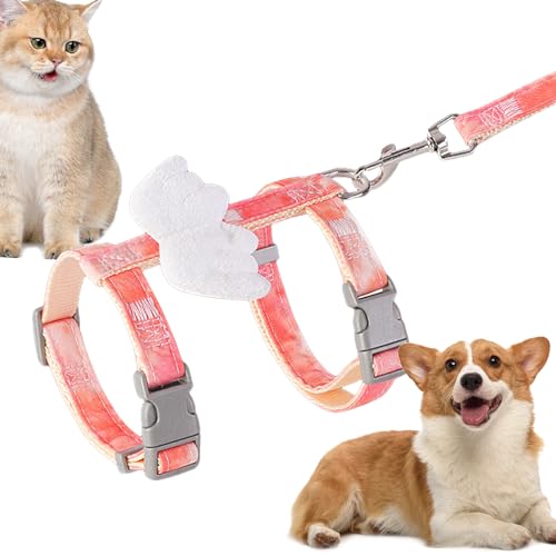 Hundegeschirr für Katzen, Engelsflügel-Design, Cartoon-Geschirr, Hundetrainingsprodukte für Spaziergänge, Reisen, Camping, Festivals, Ausflüge Bellv Hundegeschirr für Katzen, Engelsflügel-Design, Cartoon-Geschirr, Hundetrainingsprodukte für Spaziergänge, Reisen, Camping, Festivals, Ausflüge Bellv von bellv