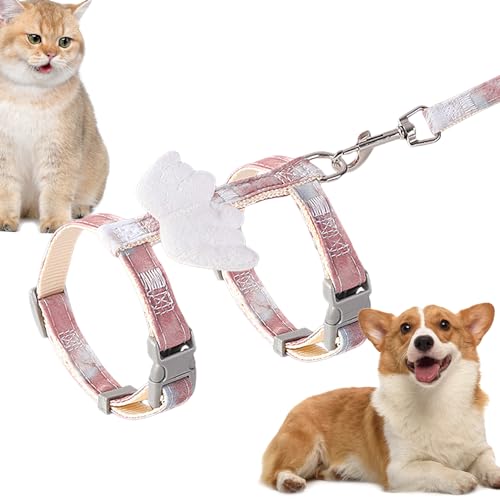 Hundegeschirr mit Gurt – stoßdämpfender Gurt und Geschirr-Set für Hunde, Hundetrainingsprodukte für Spaziergänge, Reisen, Camping, Festival-Paraden, Ausflüge Bellv Hundegeschirr mit Gurt – stoßdämpfender Gurt und Geschirr-Set für Hunde, Hundetrainingsprodukte für Spaziergänge, Reisen, Camping, Festival-Paraden, Ausflüge Bellv von bellv