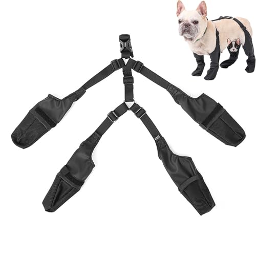 Hundestiefel mit Hosenträgern - Verstellbare, schützende Allwetter-Hundehose | Hundepfotenschutz mit Hilfsgurt für Spaziergänge an verschneiten Wintertagen im Freien für kleine und mittelgroße Bellv Hundestiefel mit Hosenträgern - Verstellbare, schützende Allwetter-Hundehose | Hundepfotenschutz mit Hilfsgurt für Spaziergänge an verschneiten Wintertagen im Freien für kleine und mittelgroße Bellv von bellv
