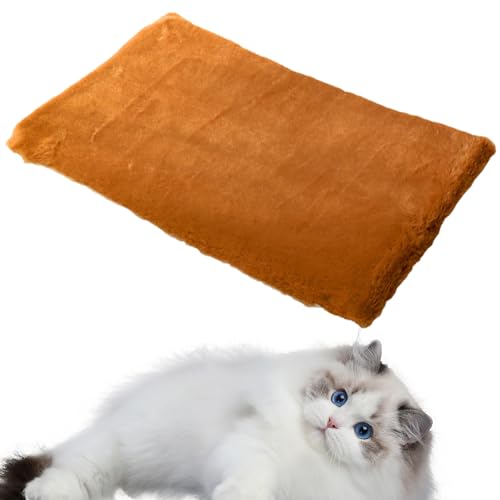 Katzenkratzbrett | 2-in-1 recycelbares Katzenbett - Kratzstrukturen Design Haustierbedarf Wellpappe Katzenkratzer Nachfüllpackung für Indoor Kätzchen Bellv Katzenkratzbrett | 2-in-1 recycelbares Katzenbett - Kratzstrukturen Design Haustierbedarf Wellpappe Katzenkratzer Nachfüllpackung für Indoor Kätzchen Bellv von bellv