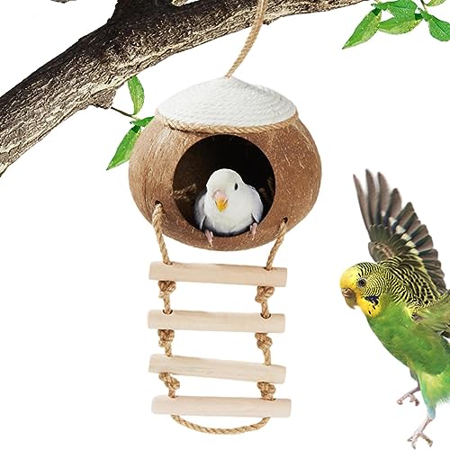 Kolibrihaus, Papageienbett, Kolibri-Nest Kokosnuss für den Garten | Terrasse Deko für Schwalbe Spatzen, Vogelhäuschen, Kolibri-Nest für Garten Bellv Kolibrihaus, Papageienbett, Kolibri-Nest Kokosnuss für den Garten | Terrasse Deko für Schwalbe Spatzen, Vogelhäuschen, Kolibri-Nest für Garten Bellv von bellv