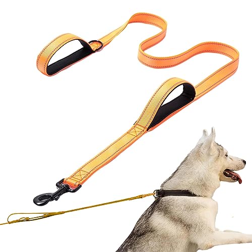 Rückzug Training Agilität Blei, Wahlplydnad Rückruf Bildung Blei, wasserdichte lange Hundeleine, Anti-Ersticken mit Schiebekabel, Strass Leder Kristall Haustiere für mittelgroße Hunde Rückzug Training Agilität Blei, Wahlplydnad Rückruf Bildung Blei, wasserdichte lange Hundeleine, Anti-Ersticken mit Schiebekabel, Strass Leder Kristall Haustiere für mittelgroße Hunde von bellv
