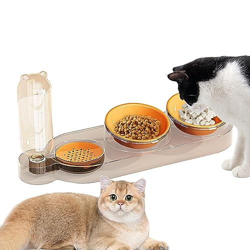 Schutzständer Haustiere, geneigt erhöhte Katzenfutter Schale, Stress Tierfutter mit großer Lagerung, vielseitig Stress Haustier Wasser mit Reflux-Verhütung, Katze Keramik Schalen für Welpen Hund Schutzständer Haustiere, geneigt erhöhte Katzenfutter Schale, Stress Tierfutter mit großer Lagerung, vielseitig Stress Haustier Wasser mit Reflux-Verhütung, Katze Keramik Schalen für Welpen Hund von bellv