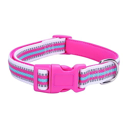 bellv Reflektierendes Hundehalsband | Reflektierendes Halsband für Hunde mit Sicherheitsschnalle – Bequemes und sicheres Halsband für die Sicherheit von Hunden, weiches Halsband für kleine Hunde und von bellv