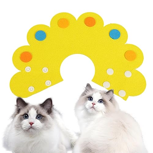 kegelhalsband für katzen, elisabethanes halsband leicht katzenhalsband, verstellbare katzenerholung, katzenhalsband, katzenhalsband, katzenhalsband aus leder, katzenhalsband mit weicher kante, kegelhalsband für katzen, elisabethanes halsband leicht katzenhalsband, verstellbare katzenerholung, katzenhalsband, katzenhalsband, katzenhalsband aus leder, katzenhalsband mit weicher kante, von bellv
