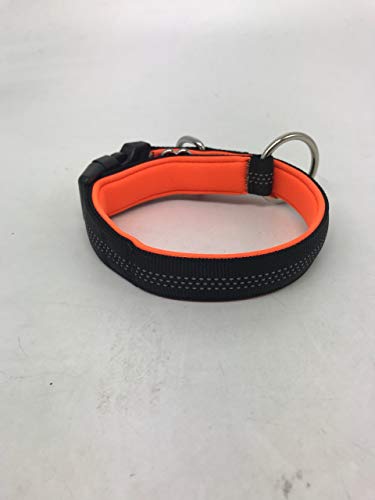 BEST DOG Premium Hundeleine für große Hunde - Reflektierend mit Ruckdämpfer (Hundehalsband Orange-Schwarz) von best dog