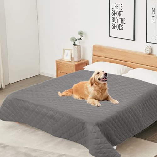 beueyfr Wasserdichte Hundedecke, Hundedecken, waschbar, weicher Hundebettbezug, Haustierdecke, wendbarer Sofabezug für Welpen und Katzen, 97 x 208 cm, 2 Stück beueyfr Wasserdichte Hundedecke, Hundedecken, waschbar, weicher Hundebettbezug, Haustierdecke, wendbarer Sofabezug für Welpen und Katzen, 97 x 208 cm, 2 Stück von beueyfr