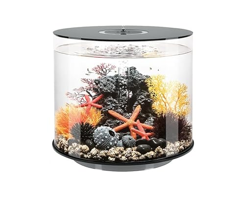 biOrb Tube 35 MCR schwarz - Elegantes Design-Aquarium, Komplettset mit Filtersystem, 360-Grad-Blick von biOrb