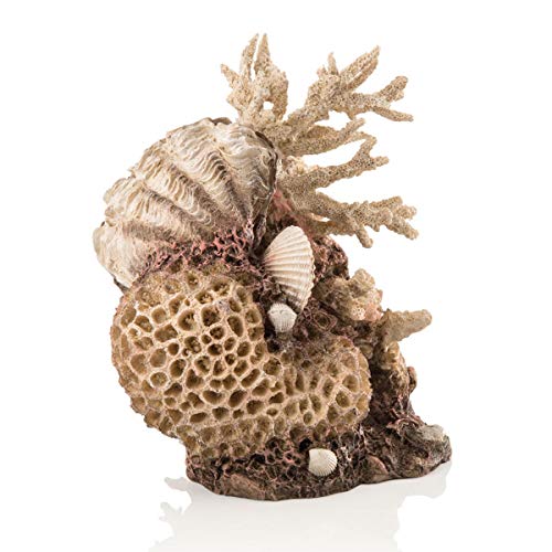 biOrb 48360 Korallen-Muschel Ornament - Aquariendekoration in Form eines Korallenriffs zur stilvollen Einrichtung von biOrb Aquarien | aus pflegeleichtem und langlebigem Kunststoff von biOrb