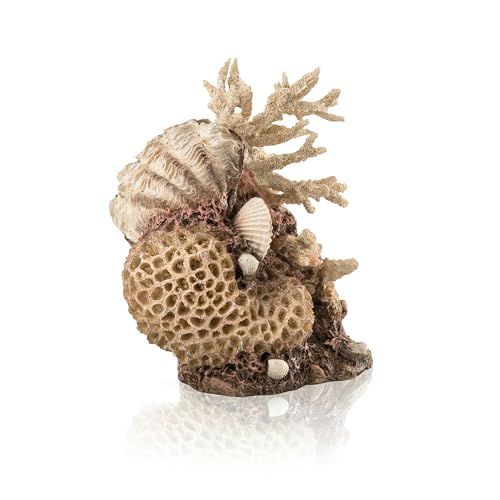 biOrb 48360 Korallen-Muschel Ornament Natural - Pflegeleichte Aquariendekoration, Korallenriff für Modell TUBE ab 30L und Classic 105L von biOrb
