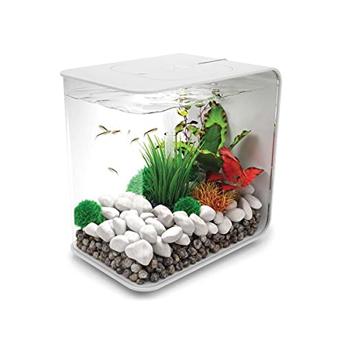 biOrb FLOW 30 - Aquarien-Komplett-Set mit LED Beleuchtung und patentiertem Filter-System, Acryl-Becken von biOrb