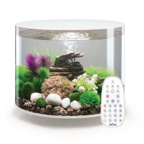 Rundes Aquarium von BiOrb, 35 l mit LED-Beleuchtung von biOrb