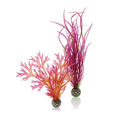 biOrb 46058 Pflanzen Set rot / pink M - künstliches mittelgroßes Natur Dekopflanzen-Set zum Aufhübschen von Süß- und Meerwasseraquarien von biOrb