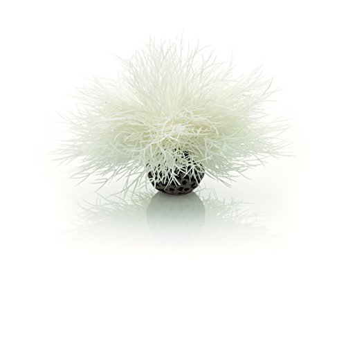 biOrb 46078 Aquarien Seelilie, weiß – kleine elegante Aquariumdekoration in Form einer detaillierten Wasserpflanze aus langlebigem Kunststoff | für Süßwasseraquarien und Meerwasseraquarien von biOrb