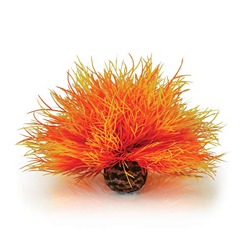 biOrb 46085 Aquarien Seelilie, orange – kleine elegante Aquariumdekoration in Form einer detaillierten Wasserpflanze aus langlebigem Kunststoff | für Süßwasseraquarien und Meerwasseraquarien von biOrb