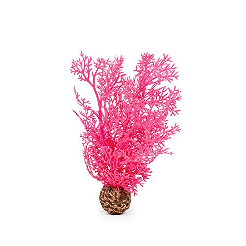 biOrb 46092 Hornkoralle S, pink - kleine, naturnahe Koralle aus Kunststoff | Aquariendekoration | leichte Reinigung | geeignet für Süßwasser und Meerwasser von biOrb