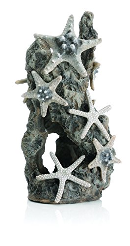 biOrb 46132 Seesternfelsen Ornament - detaillierte Aquariumdekoration in zur stilvollen Einrichtung von Süßwasser und Meerwasseraquarien – künstlicher Felsen als Versteck oder Höhle von biOrb