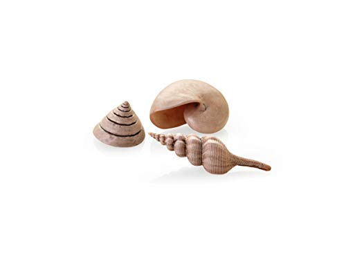 biOrb 48355 Muschel Set natural - kompakte Keramik-Muscheln im 3er-Set zur Dekoration von Süßwasseraquarium und Meerwasseraquarium von biOrb