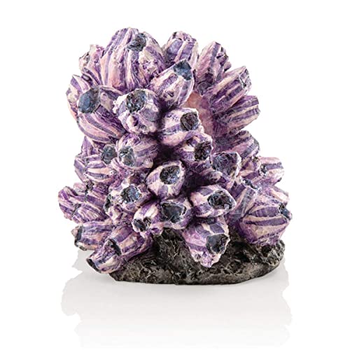 biOrb 48359 Rankentraube Ornament – naturnahe Aquariumdeko in Form von lila Polypen auf grauem Felsen | zur Gestaltung von Süßwasseraquarien und Meerwasseraquarien von biOrb