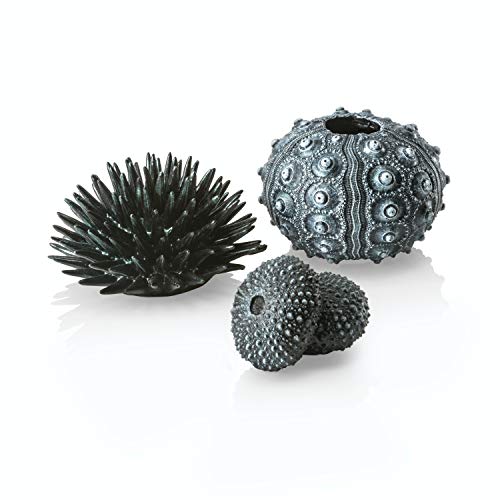 biOrb 48365 Seeigel-Set, schwarz, 16 x 5 x 35 cm - künstliche Seeigel zur Aquariumdekoration, Ornamente für alle biOrb Aquarien geeignet von biOrb