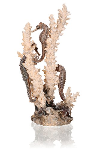 biOrb 55039 Seepferdchen natur M - Mittelgroße Seepferdchen-Skulptur mit Korallen zur individuellen Gestaltung von Süßwasseraquarien und Meerwasseraquarien von biOrb