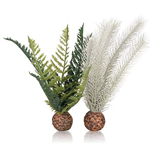 biOrb 55075 Farn grau & grün S – Künstliche Aquariumpflanze, naturnahe Wasserpflanze für Süßwasseraquarien und Meerwasseraquarien biOrb 55075 Farn grau & grün S – Künstliche Aquariumpflanze, naturnahe Wasserpflanze für Süßwasseraquarien und Meerwasseraquarien von biOrb