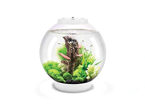biOrb 72007 CLASSIC 30 LED weiß - dekoratives Aquarium Komplett-Set mit Filter-System, LED-Beleuchtung und Keramik-Kies aus widerstandsfähigem Acryl-Glas von biOrb