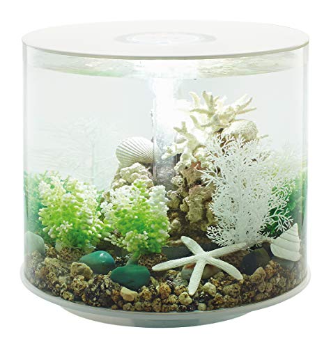 biOrb 72071 TUBE 35 LED weiß - 35 Liter 360-Grad Deko-Aquarium Komplett-Set aus Acryl-Glas mit LED-Beleuchtung, Filter-System und Boden-Keramik biOrb 72071 TUBE 35 LED weiß - 35 Liter 360-Grad Deko-Aquarium Komplett-Set aus Acryl-Glas mit LED-Beleuchtung, Filter-System und Boden-Keramik von biOrb