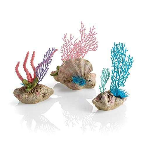 biOrb 72676 Korallenfächer & Muschel Set – naturnahe Aquariumdeko in Form von bunten Korallen auf Steinen | zur Gestaltung von Süßwasseraquarien und Meerwasseraquarien von biOrb