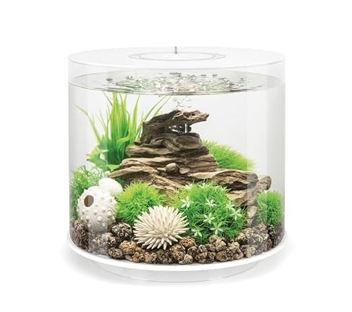 biOrb 92393 Tube 15 LED weiß - Aquarium, LED Beleuchtung, mit 360 Grad Blick auf die Unterwasserwelt biOrb 92393 Tube 15 LED weiß - Aquarium, LED Beleuchtung, mit 360 Grad Blick auf die Unterwasserwelt von biOrb