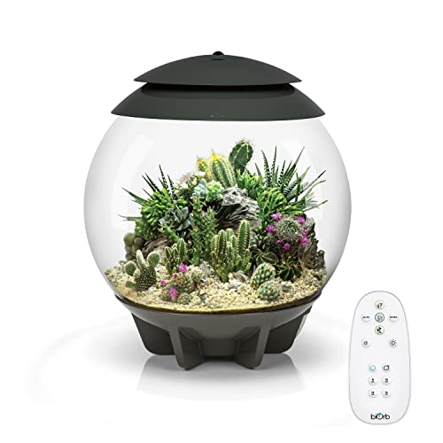 biOrb AIR 30, grau - automatisches Terrarium zur bequemen Pflanzenpflege / geeignet für empfindliche, exotische Pflanzen von biOrb