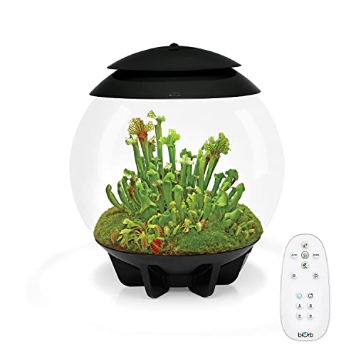 biOrb AIR 30 schwarz - Terrarium mit LED-Beleuchtung / Acryl-Becken zur Pflanzenpflege / für empfindliche, exotische Pflanzen von biOrb