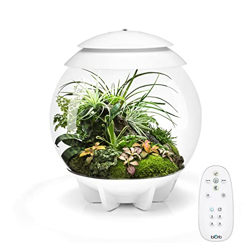 biOrb AIR 30 weiß - Terrarium mit LED-Beleuchtung / Acryl-Becken zur Pflanzenpflege / für empfindliche, exotische Pflanzen von biOrb