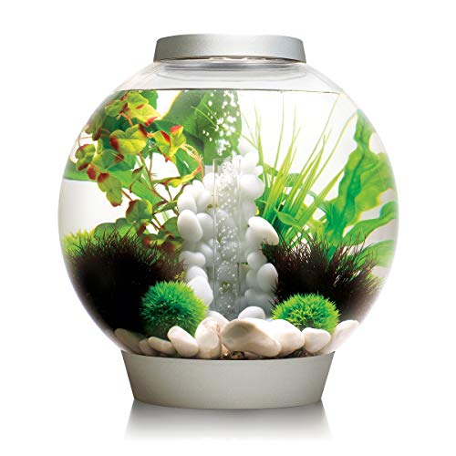 biOrb CLASSIC 30 LED Kugel-Aquarium, 30 Liter - Aquarien Komplett-Set mit LED Beleuchtung und patentiertem Filter-System, Acryl-Becken von biOrb