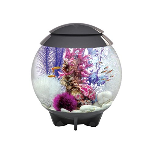 biOrb HALO 30 LED, grau - 360-Grad Deko-Aquarium / Komplett-Set aus Acryl-Glas mit LED-Beleuchtung, Filter-System und Boden-Keramik von biOrb