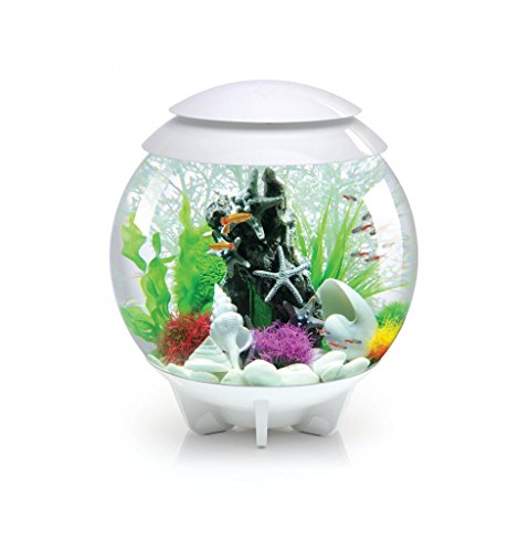 biOrb HALO 30 LED, weiß - 360-Grad Deko-Aquarium / Komplett-Set aus Acryl-Glas mit LED-Beleuchtung, Filter-System und Boden-Keramik von biOrb