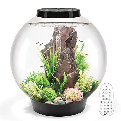 biOrb Klassisches Aquarium aus Acryl mit mehrfarbigen, ferngesteuerten LED-Lichtern, modernes Aquarium für Tischdekoration, Schwarz, 60-Liter-Fassungsvermögen von biOrb