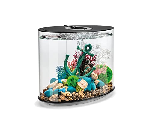 biOrb LOOP 30 LED Aquarium, 30 Liter - Aquarien Komplett-Set mit patentiertem Filter-System, Acryl-Becken von Oase