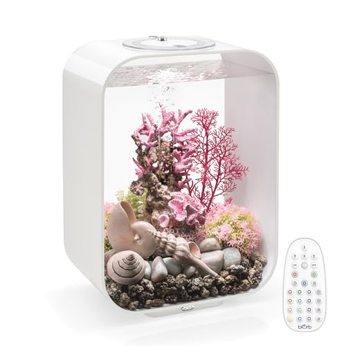 biOrb Life 15 Acryl-Aquarium mit mehrfarbigen ferngesteuerten LED-Lichtern, modern, kompakt, für Tisch- oder Desktop-Display, Weiß von biOrb