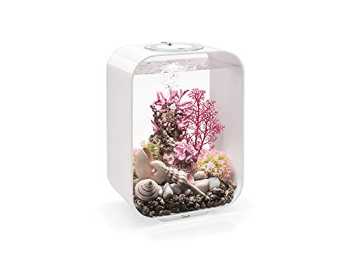 biOrb Life 15 Acryl-Aquarium mit mehrfarbigen ferngesteuerten LED-Lichtern, modern, kompakt, für Tisch- oder Desktop-Display, Weiß von biOrb
