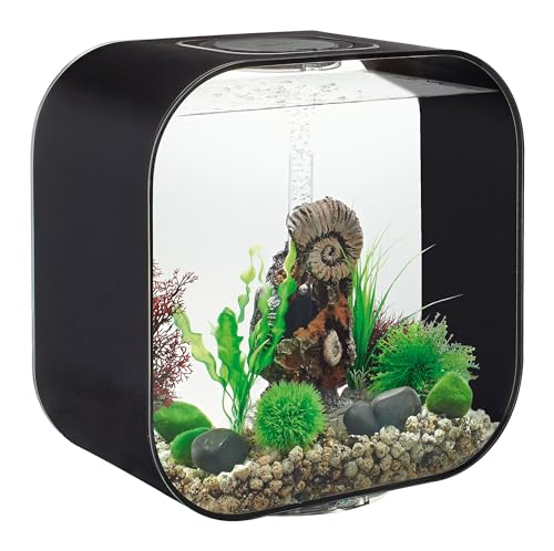 biOrb Life 30 MCR schwarz biOrb Life 30 MCR schwarz von biOrb